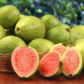 guava img